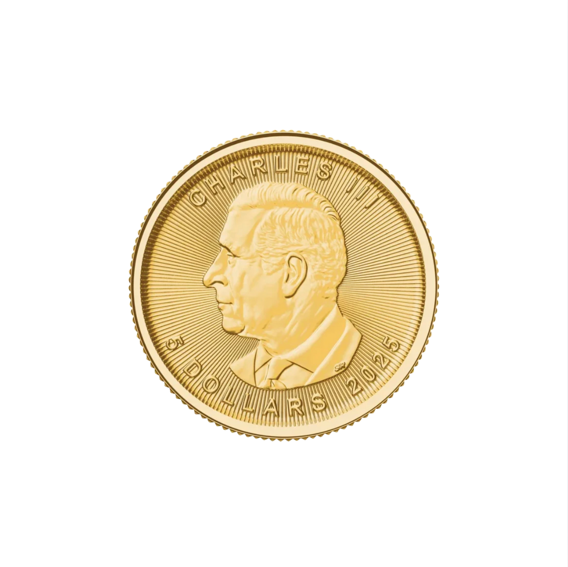 1/10 oz .9999 Pure 24K Maple Gold Bullion with 14K Frame and Chain