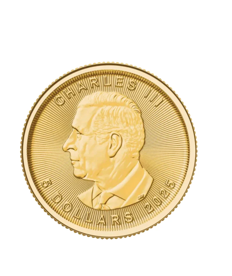 1/10OZ 24K Gold Canadian Maple Leaf Coin w/ 14K Frame and 14KGF 16-22" Box Chain